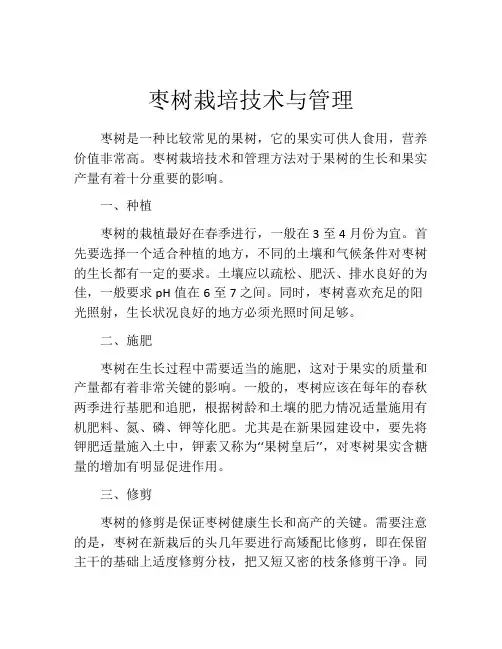 枣树栽培技术与管理