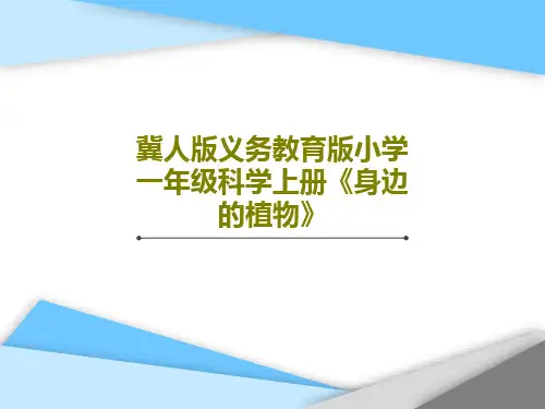 冀人版义务教育版小学一年级科学上册《身边的植物》21页PPT