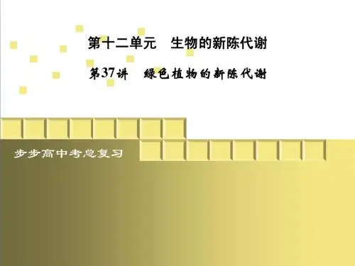 第37讲 绿色植物的新陈代谢