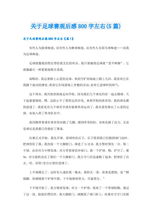 关于足球赛观后感800字左右(5篇)