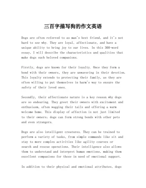 三百字描写狗的作文英语