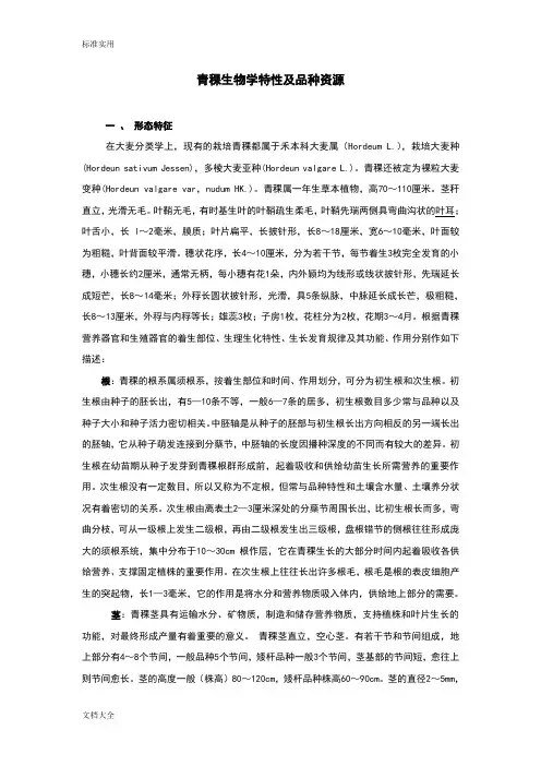 青稞特征和品种详解