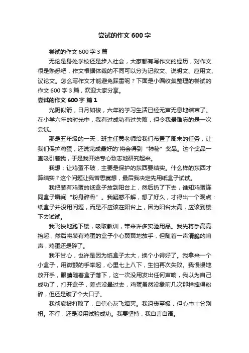 尝试的作文600字3篇