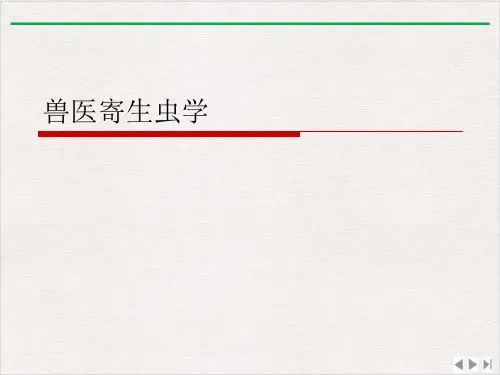 兽医寄生虫学ppt课件