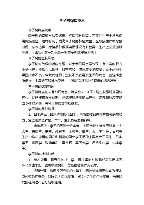 李子树嫁接技术