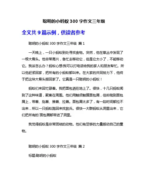 聪明的小蚂蚁300字作文三年级