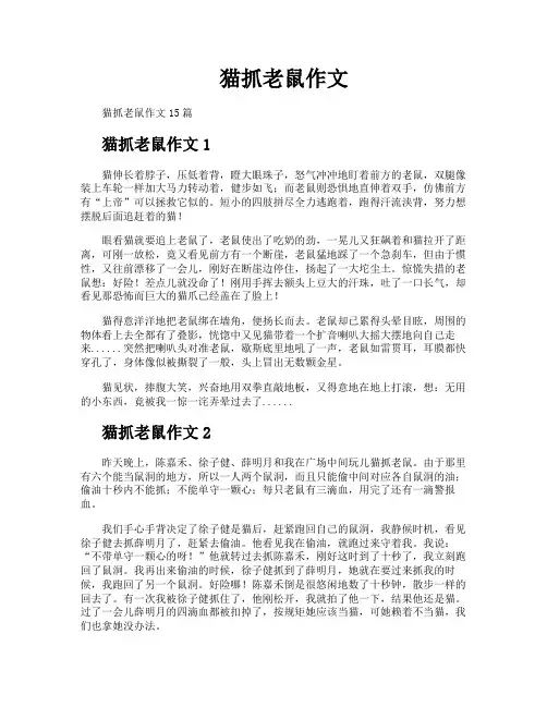 猫抓老鼠作文