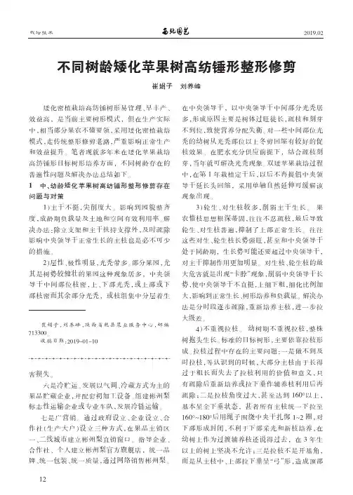 不同树龄矮化苹果树高纺锤形整形修剪