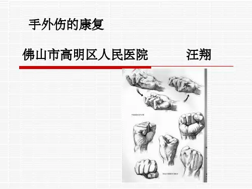 手功能康复(最终版)ppt课件