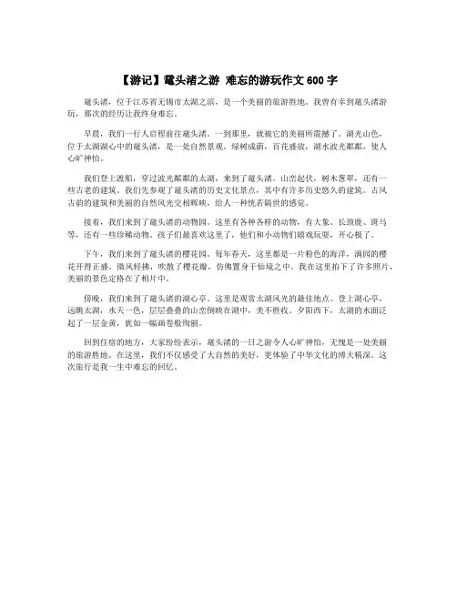 【游记】鼋头渚之游 难忘的游玩作文600字