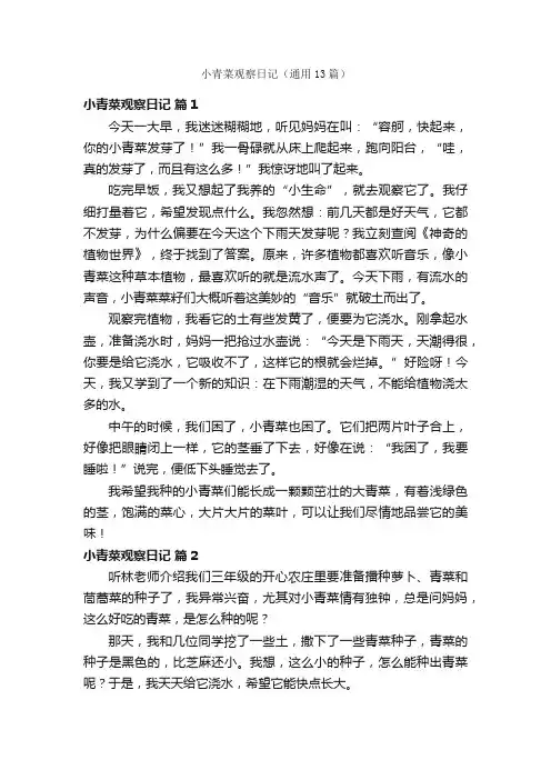 小青菜观察日记（通用13篇）