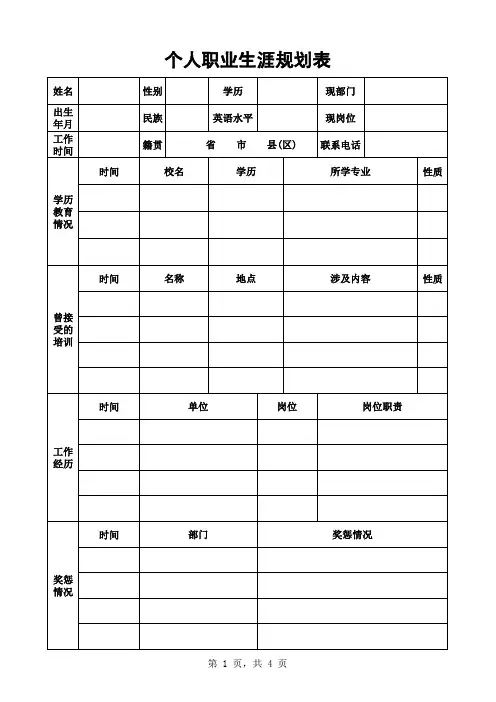 职业生涯发展规划表