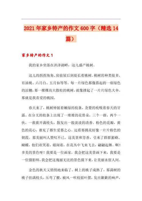 2021年家乡特产的作文600字(精选14篇)