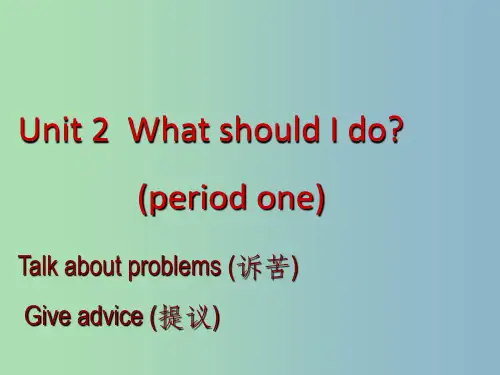 八年级英语下册 Unit 2 What should I do section A 人教新目标版