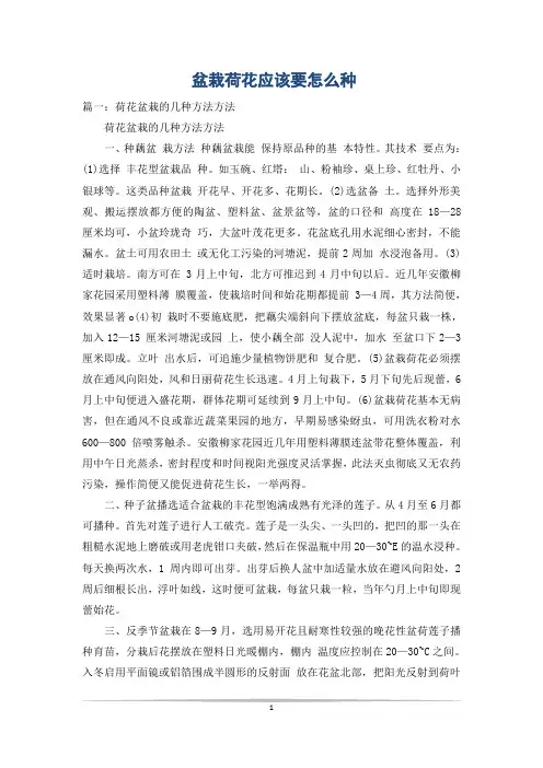 盆栽荷花应该要怎么种