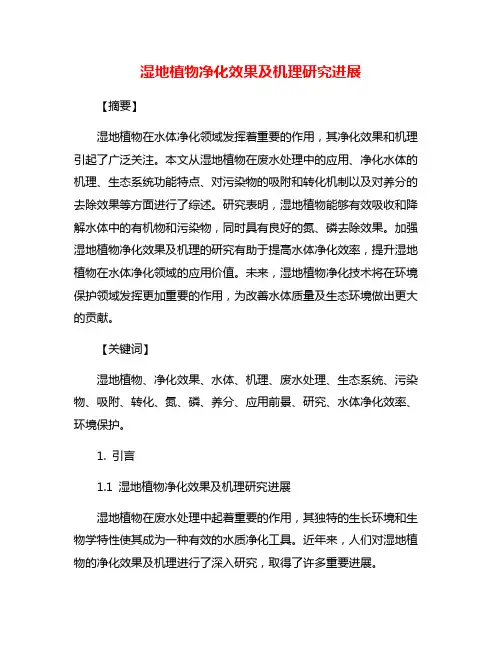 湿地植物净化效果及机理研究进展