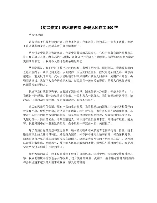 【初二作文】纳木错神韵 暑假见闻作文800字
