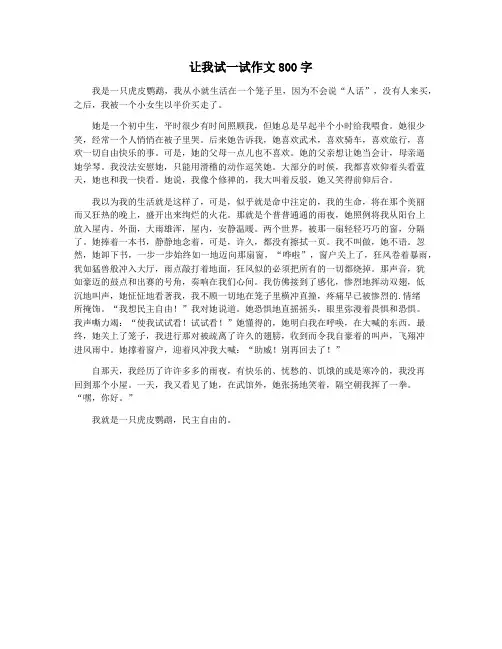 让我试一试作文800字