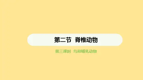 脊椎动物(第3课时)课件-2024-2025学年人教版生物七年级上册