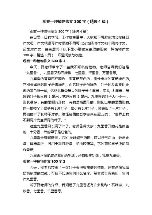 观察一种植物作文300字（精选4篇）