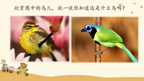 (简)《顽皮的杜鹃》优质课件