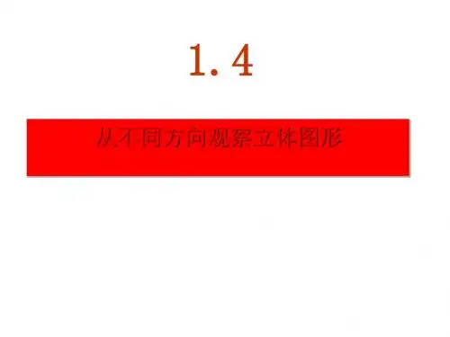 从不同方向观察立体图形ppt 北京版
