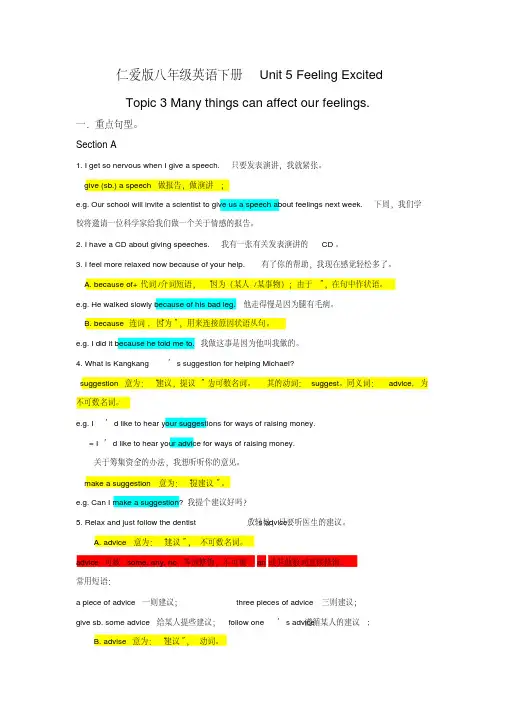 仁爱版八年级英语下册Unit5FeelingExcitedtopic3重点知识点总结及练习