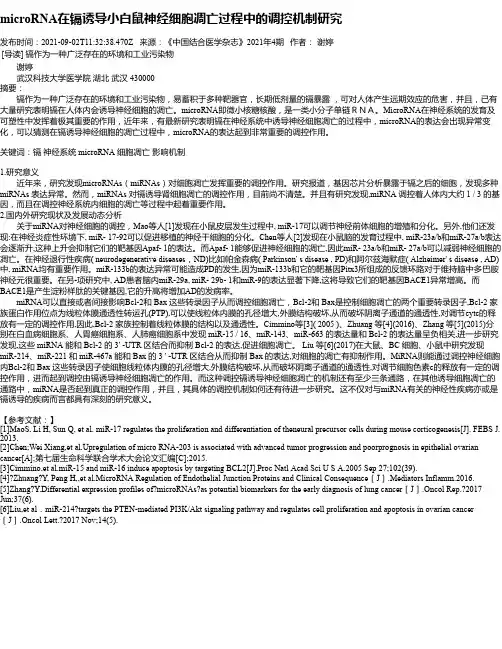 microRNA在镉诱导小白鼠神经细胞凋亡过程中的调控机制研究