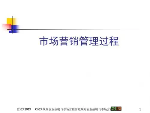 企业战略与市场营销管理过程(ppt45张)