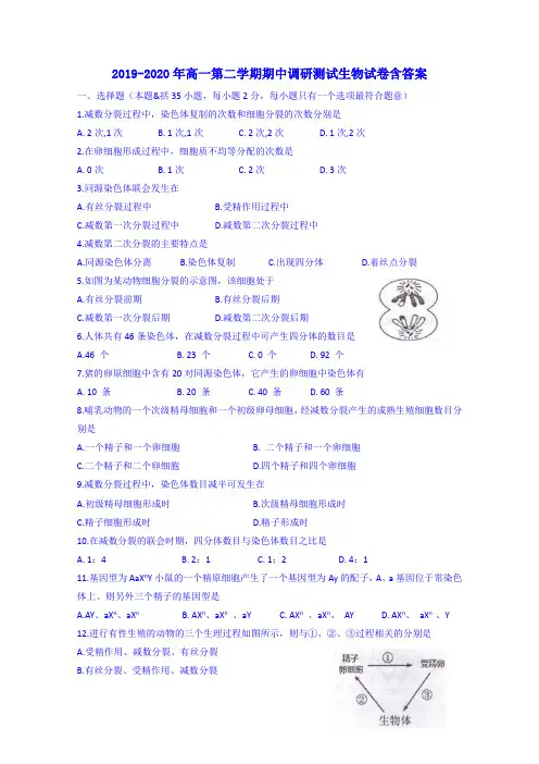 2019-2020年高一第二学期期中调研测试生物试卷含答案