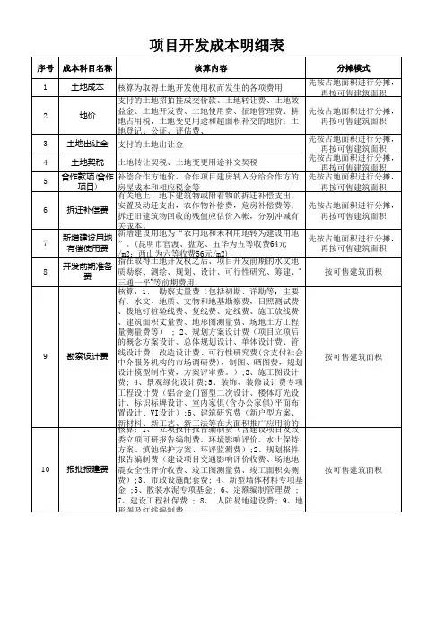 项目开发成本明细表