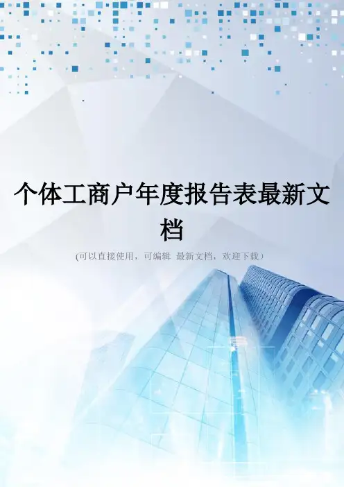 个体工商户年度报告表最新文档