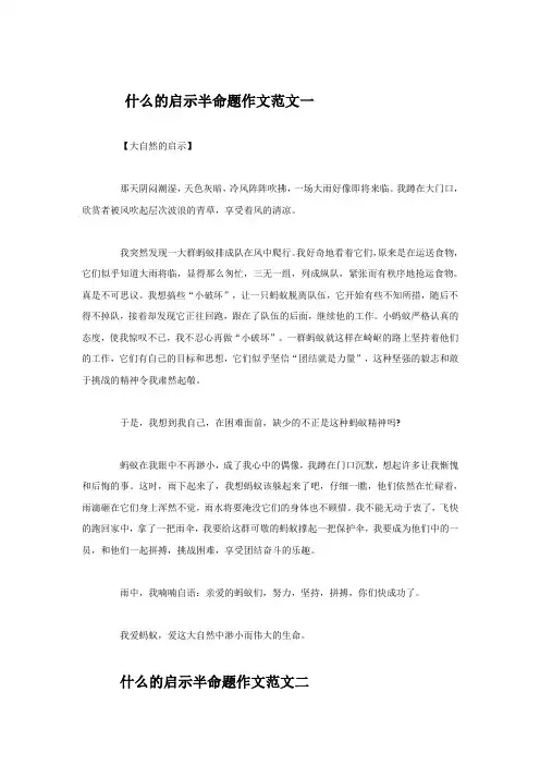 什么的启示半命题作文10篇