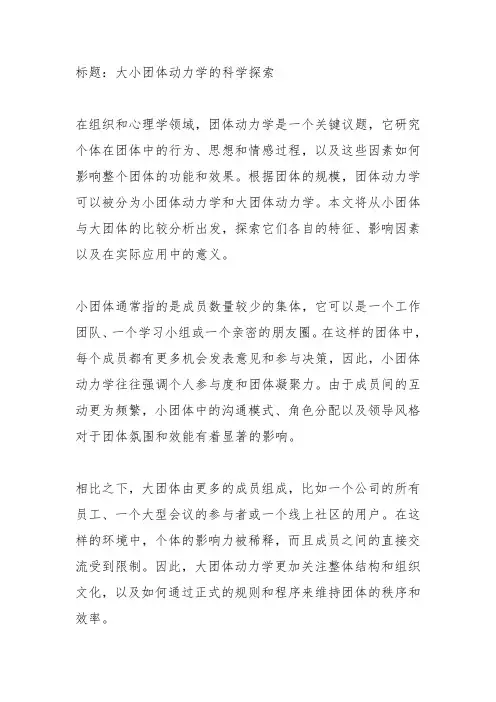 大小团体动力学