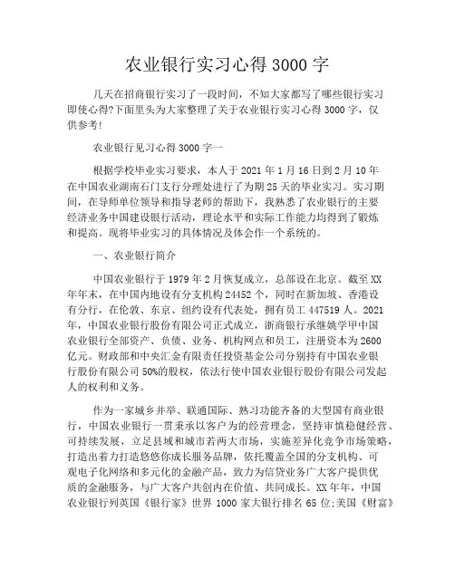 农业银行实习心得3000字