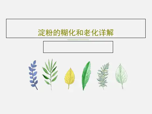 淀粉的糊化和老化详解30页PPT