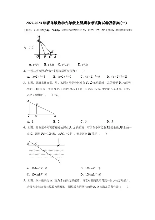 2022-2023年青岛版初中数学(初三)九年级上册期末考试综合检测试卷及部分答案(三套)