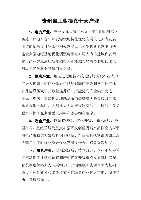 贵州省工业振兴十大产业