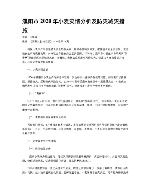 濮阳市2020年小麦灾情分析及防灾减灾措施 