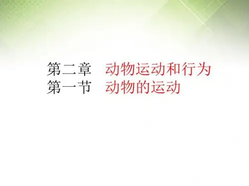 人教版初中生物八年级上册课件 2.1动物的运动 (共29张PPT)