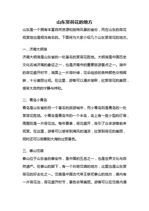 山东赏荷花的地方