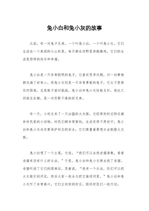兔小白和兔小灰的故事