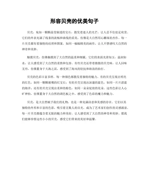 形容贝壳的优美句子