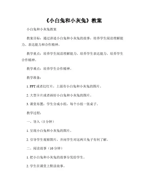 《小白兔和小灰兔》教案