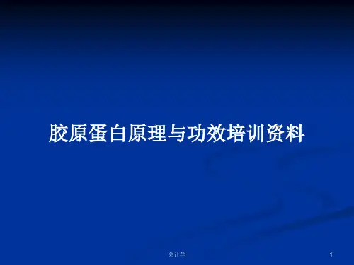 胶原蛋白原理与功效培训资料PPT学习教案
