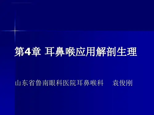 耳鼻咽喉解剖ppt课件