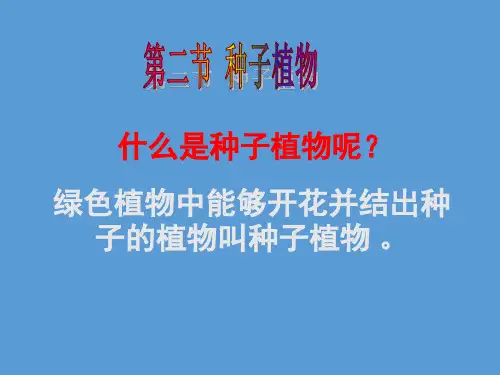 人教版生物七年级上册第三单元 第一章3.1.2《种子植物》