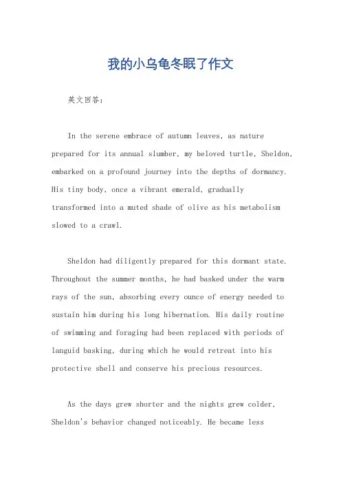 我的小乌龟冬眠了作文