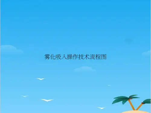 雾化吸入操作技术流程图.全面PPT资料