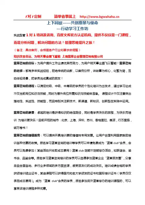 《行动学习工作坊》